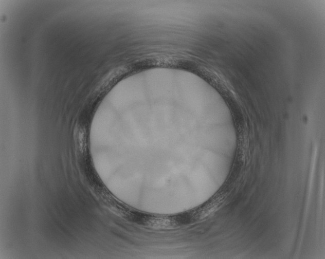 X0000083620123200703121638