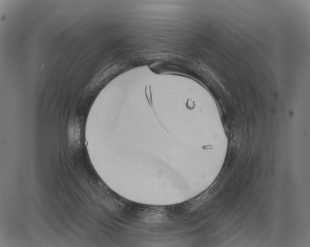 X0000083620124200703121638