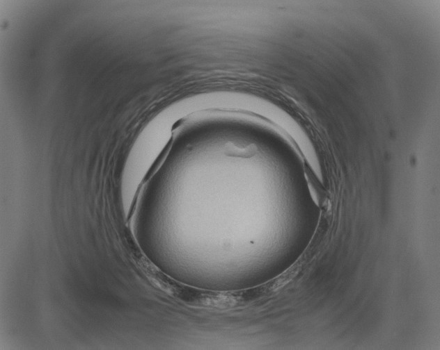 X0000083620125200703121638