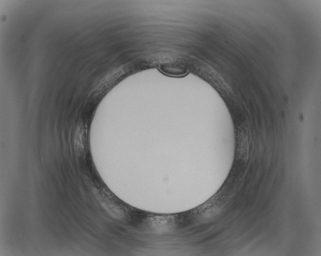 X0000083620126200703121638