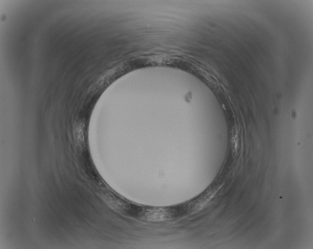 X0000083620127200703121638