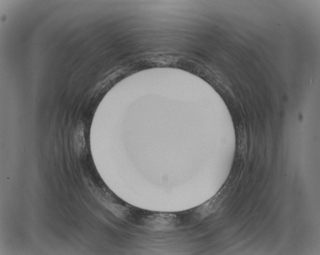 X0000083620128200703121638