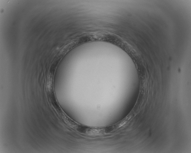 X0000083620129200703121638