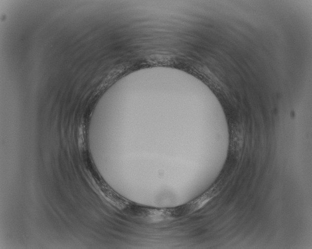 X0000083620130200703121638