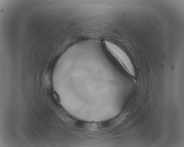 X0000083620131200703121638