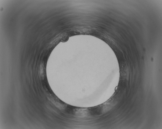 X0000083620132200703121638