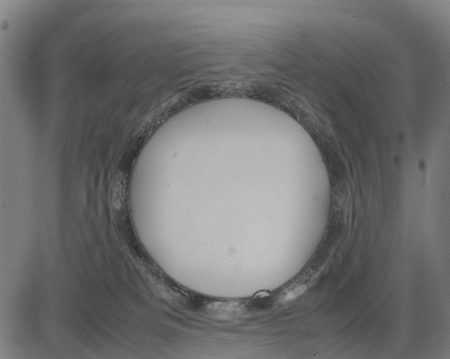 X0000083620133200703121638