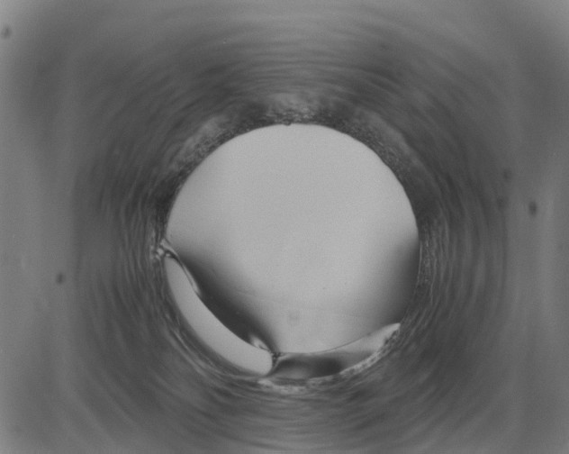 X0000083620134200703121638