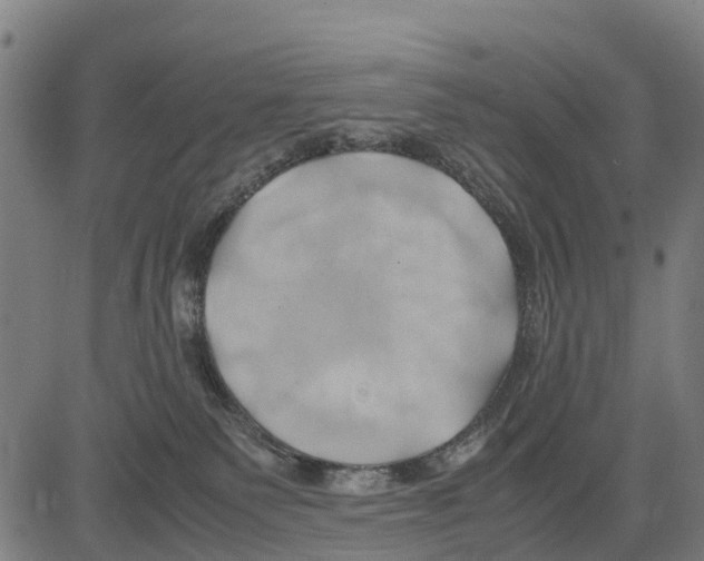 X0000083620135200703121638