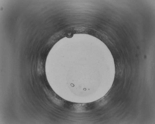 X0000083620136200703121638