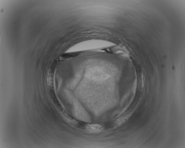 X0000083620137200703121638