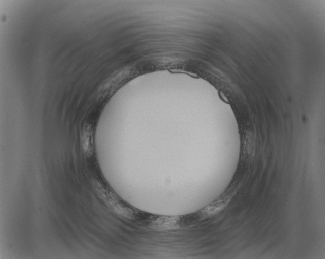 X0000083620138200703121638