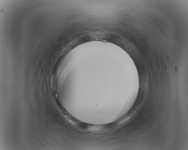 X0000083620139200703121638