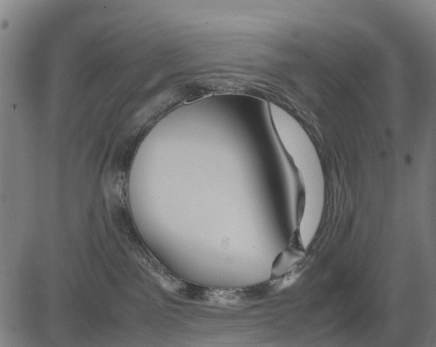 X0000083620141200703121638