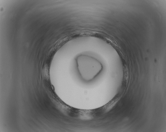 X0000083620143200703121638