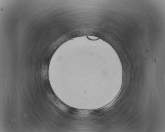 X0000083620144200703121638