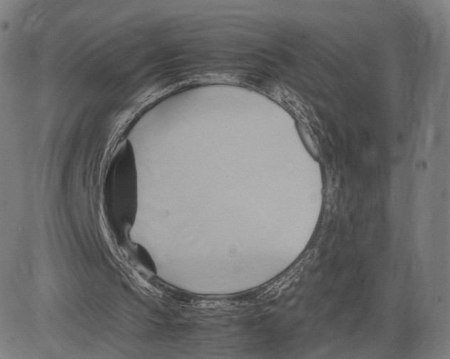 X0000083620145200703121637