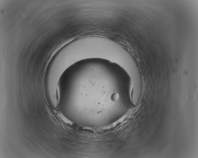 X0000083620146200703121637