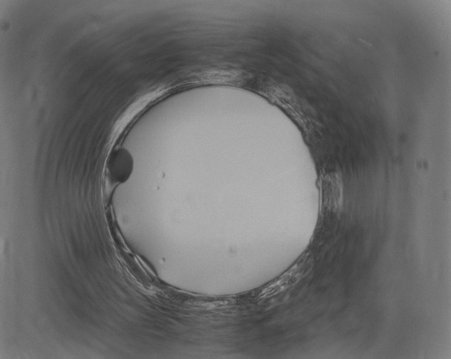 X0000083620147200703121637