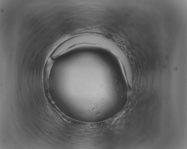 X0000083620148200703121637