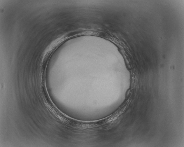 X0000083620149200703121637