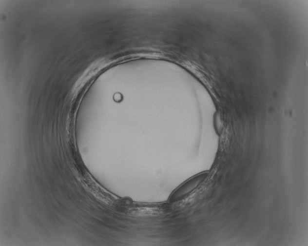 X0000083620151200703121637