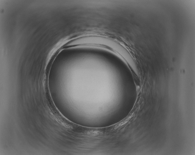 X0000083620152200703121637