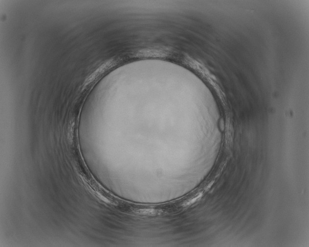 X0000083620153200703121637