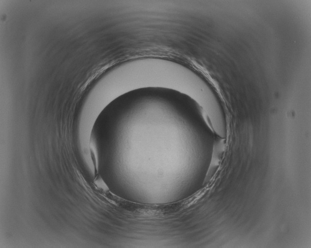 X0000083620154200703121637