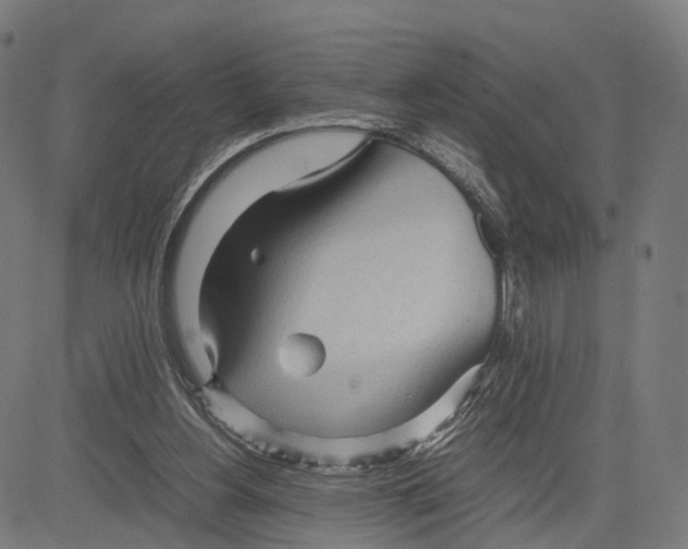 X0000083620156200703121637