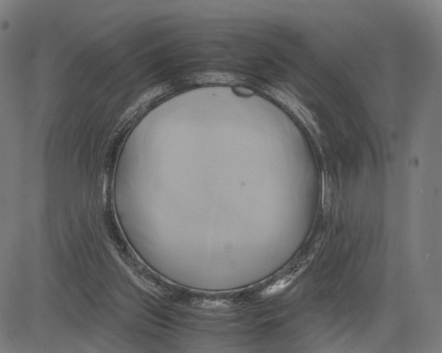 X0000083620157200703121637