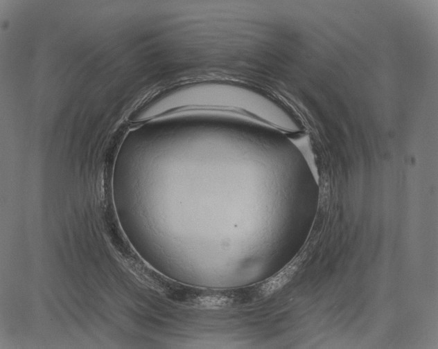 X0000083620158200703121637