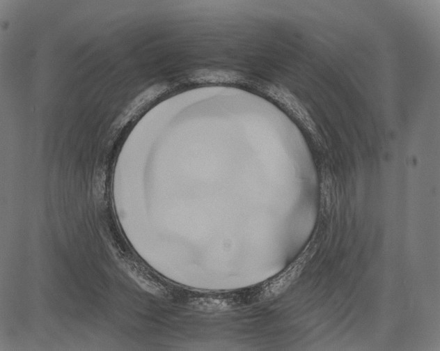 X0000083620159200703121637