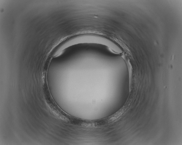 X0000083620160200703121637