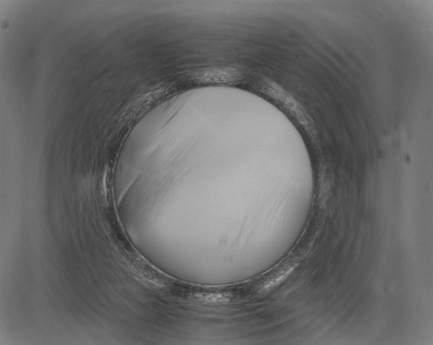 X0000083620161200703121637