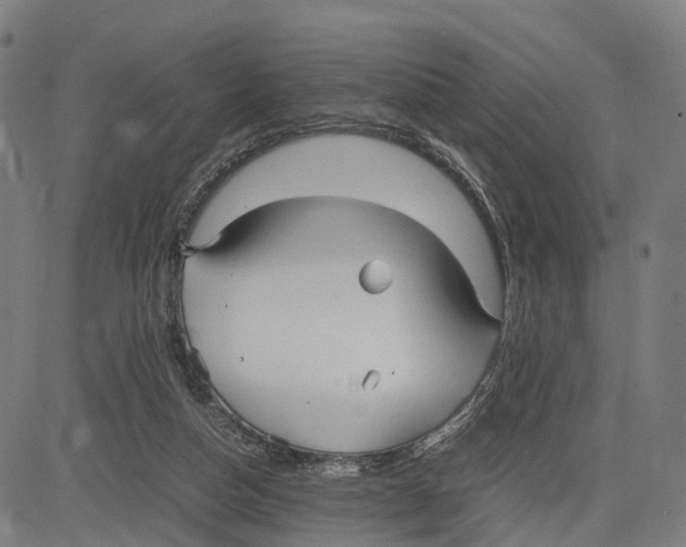 X0000083620162200703121637