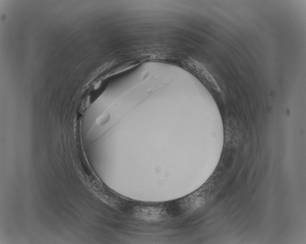 X0000083620163200703121637