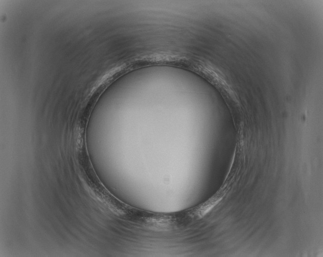 X0000083620164200703121637