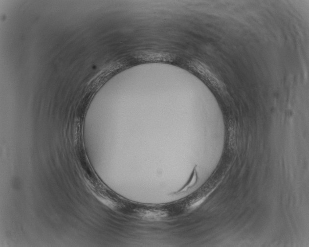 X0000083620165200703121637