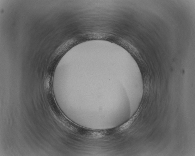 X0000083620166200703121637