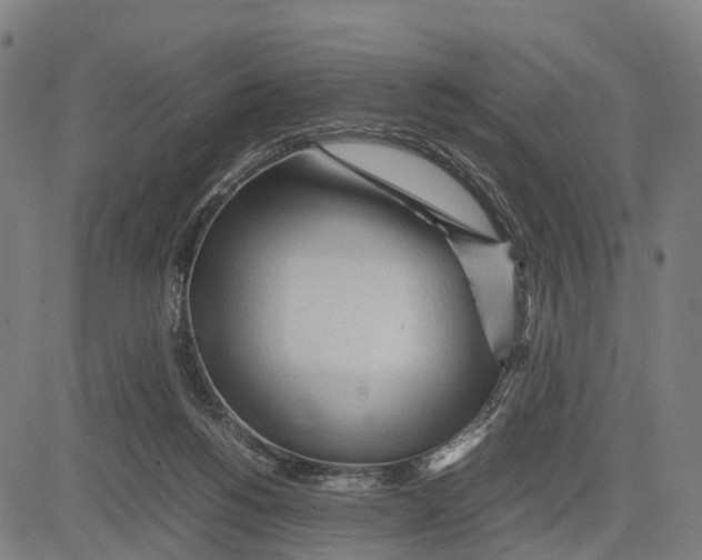 X0000083620168200703121637