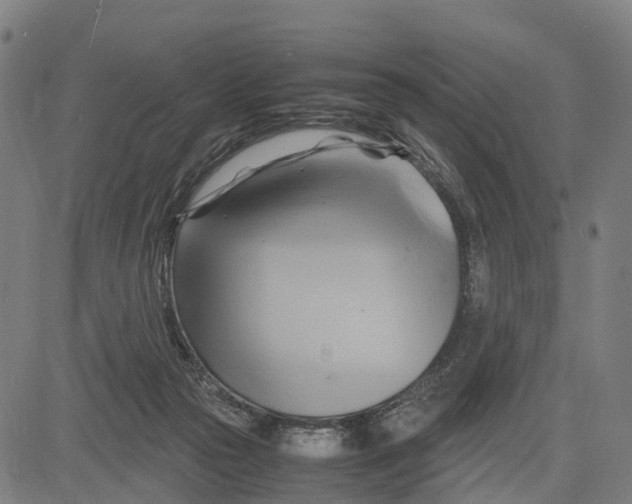 X0000083620169200703121637