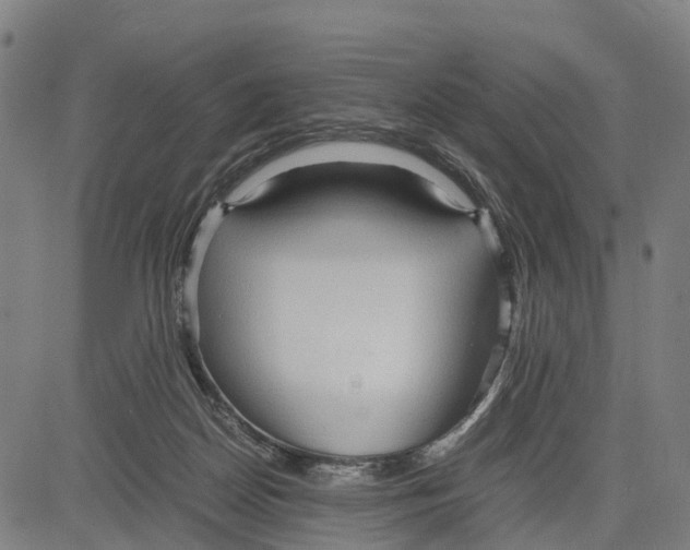 X0000083620170200703121637