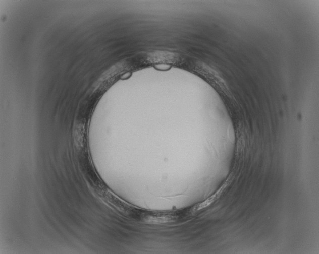 X0000083620171200703121637