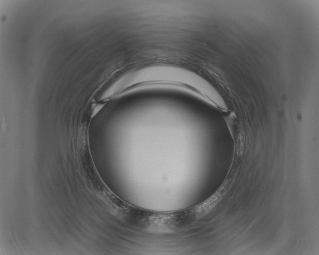 X0000083620172200703121637