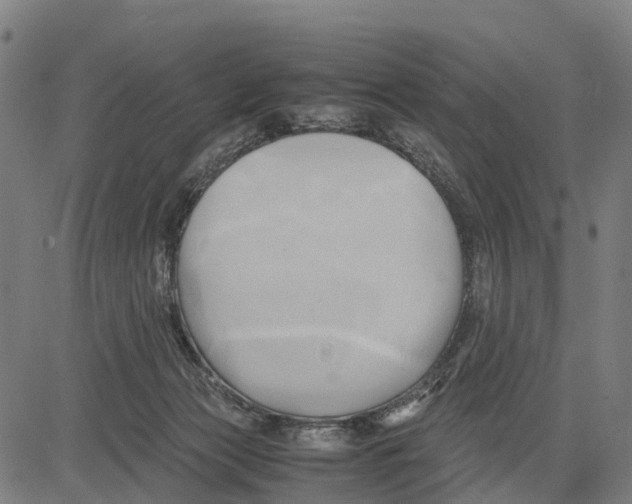 X0000083620173200703121637