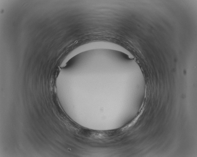 X0000083620174200703121637