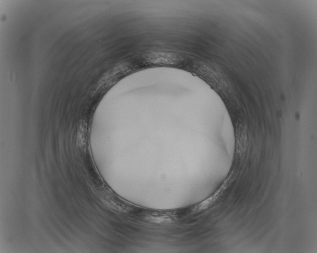 X0000083620175200703121637