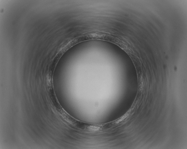 X0000083620176200703121637