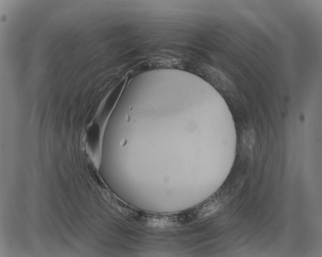 X0000083620177200703121638